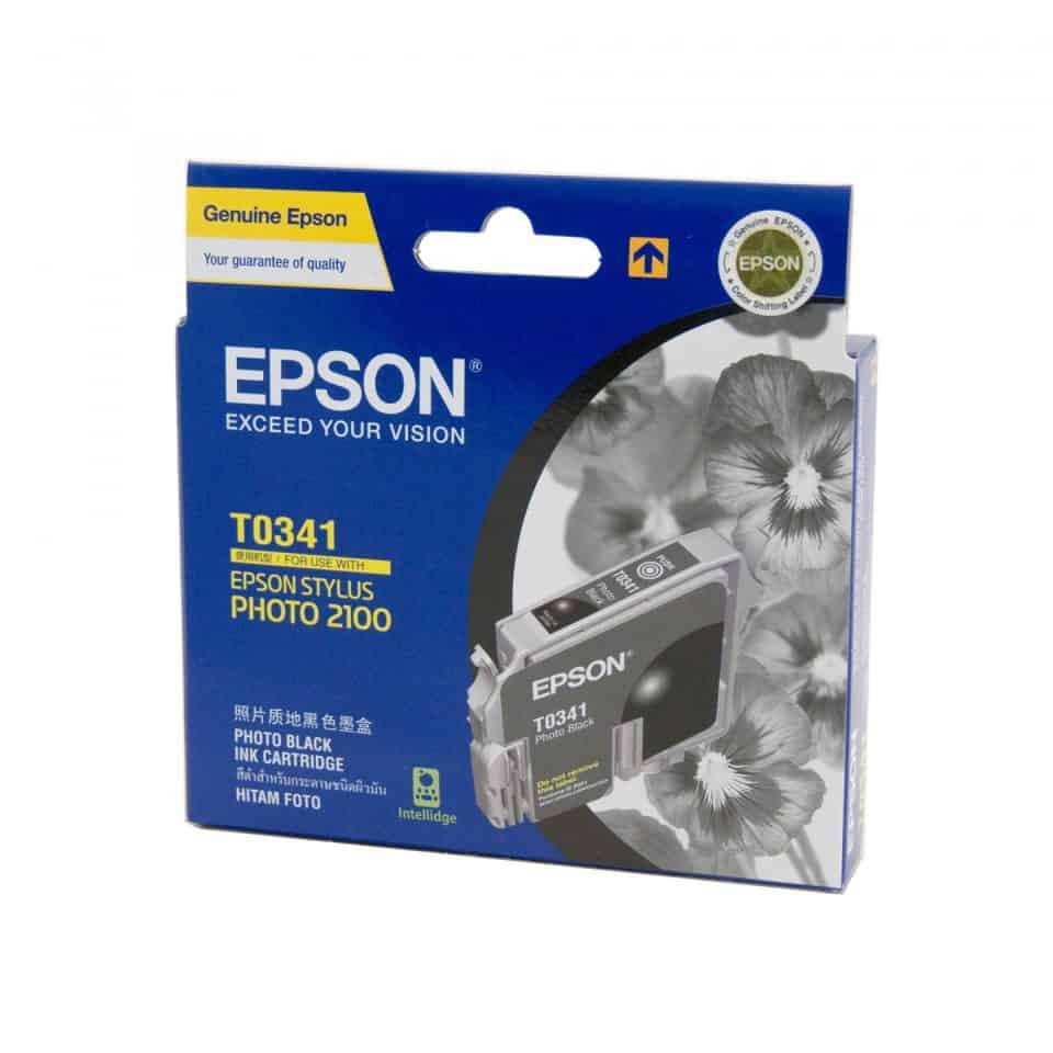Epson T0341 Photo Black Ink