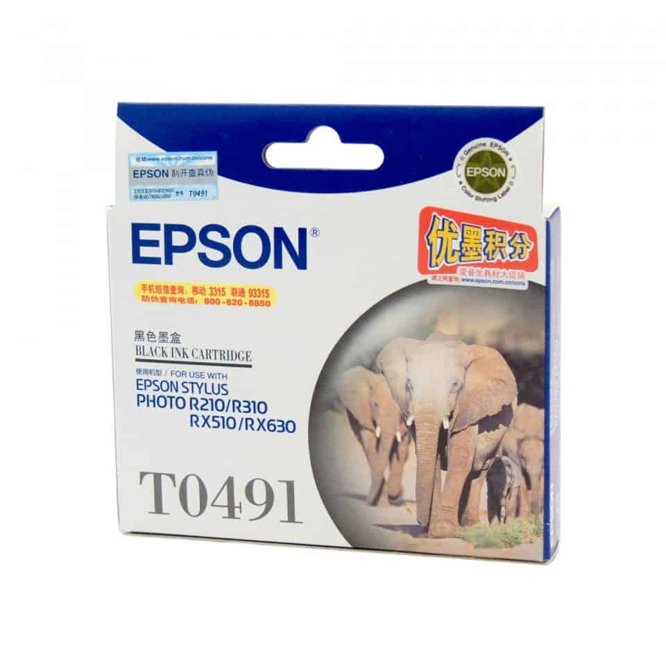 Epson T0491 Black Ink Cartridge
