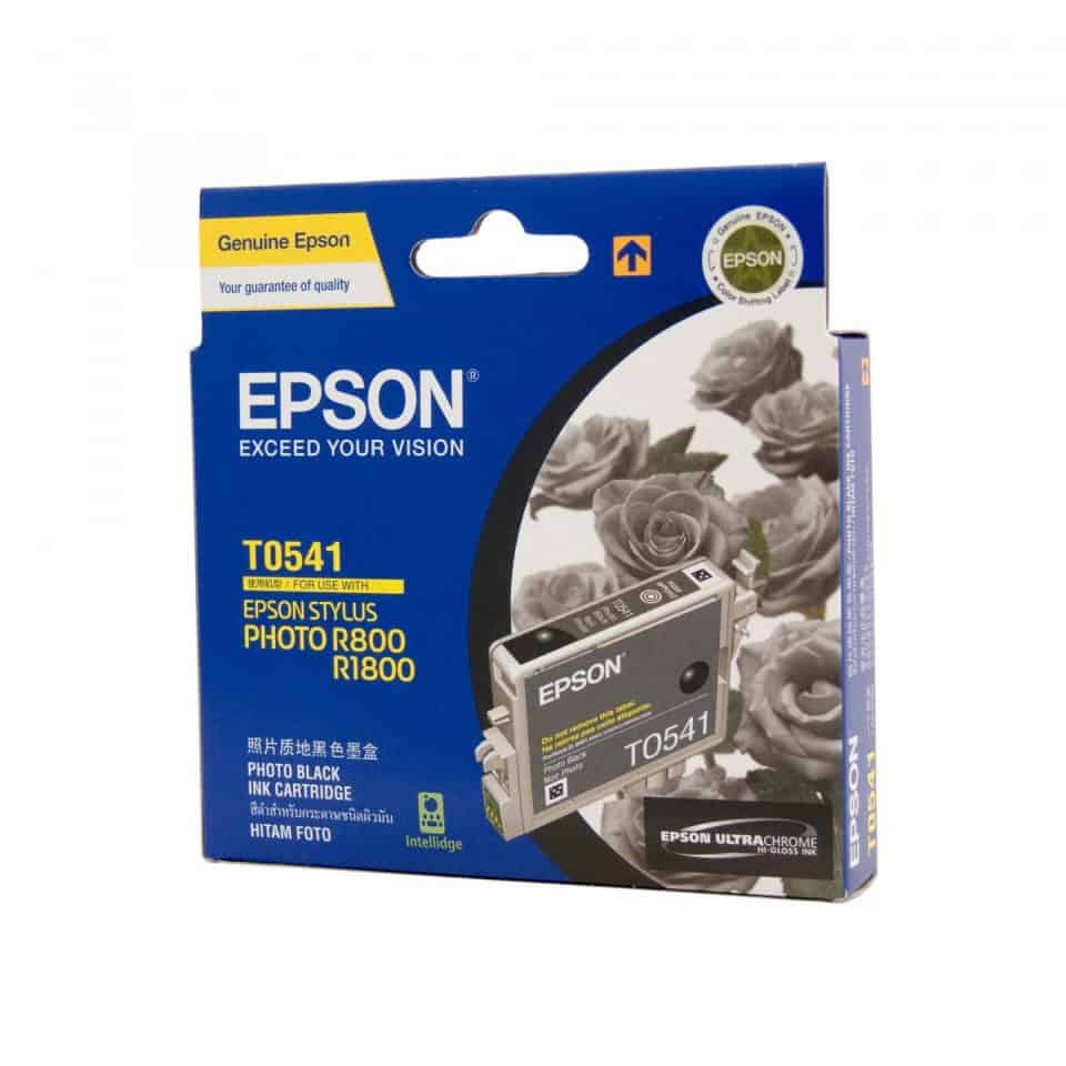 Epson T0541 Photo Black Ink