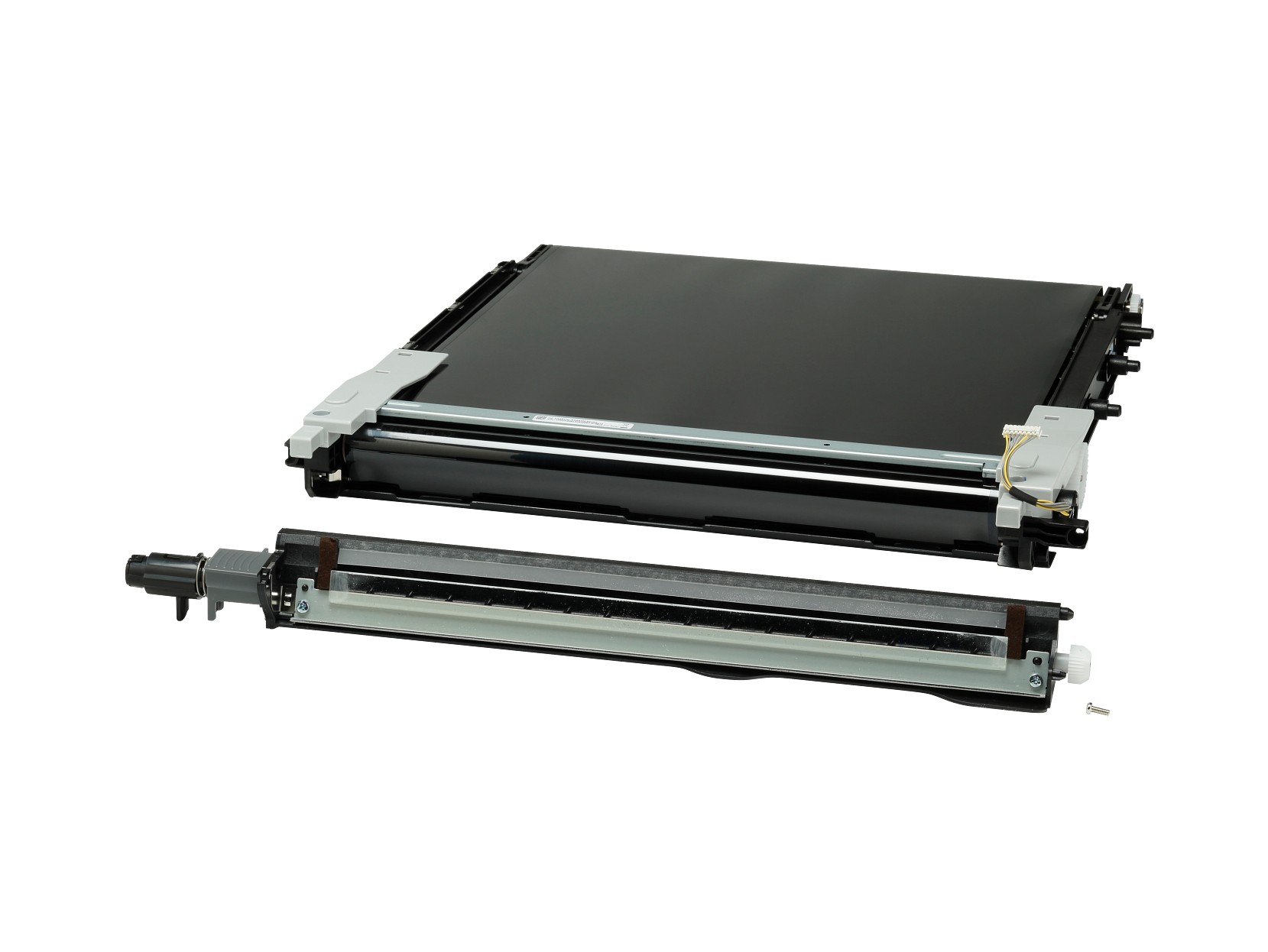 Image Transfer Belt Assembly