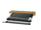 Image Transfer Belt Assembly