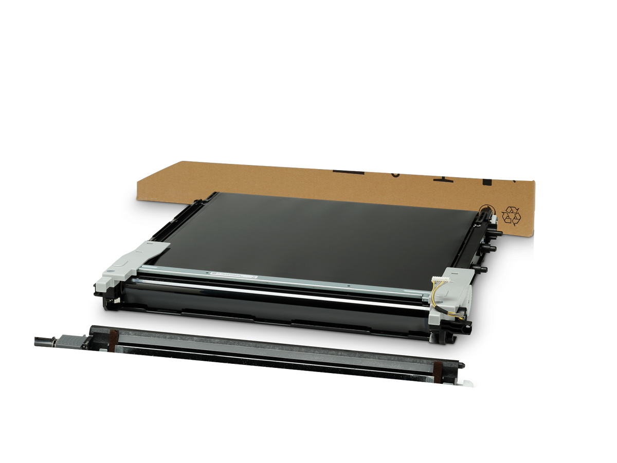 Image Transfer Belt Assembly